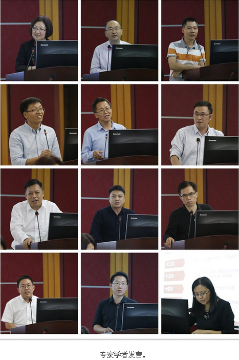 专家学者发言 专家学者发言